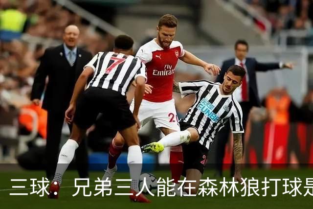 三球：兄弟三人能在森林狼打球是梦想成真 到时让大球打控卫