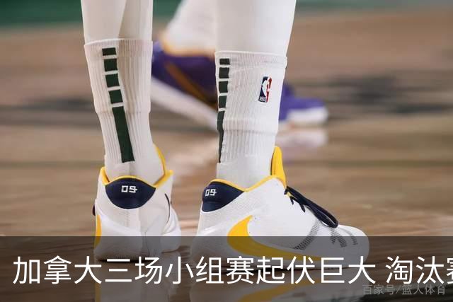 加拿大三场小组赛起伏巨大 淘汰赛若对战韩国不轻松