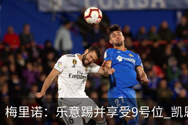 梅里诺：乐意踢并享受9号位 凯恩与我风格相似2优1劣