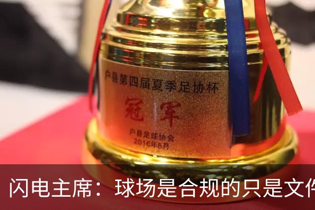 闪电主席：球场是合规的只是文件漏交了，处罚像闯红灯判无期
